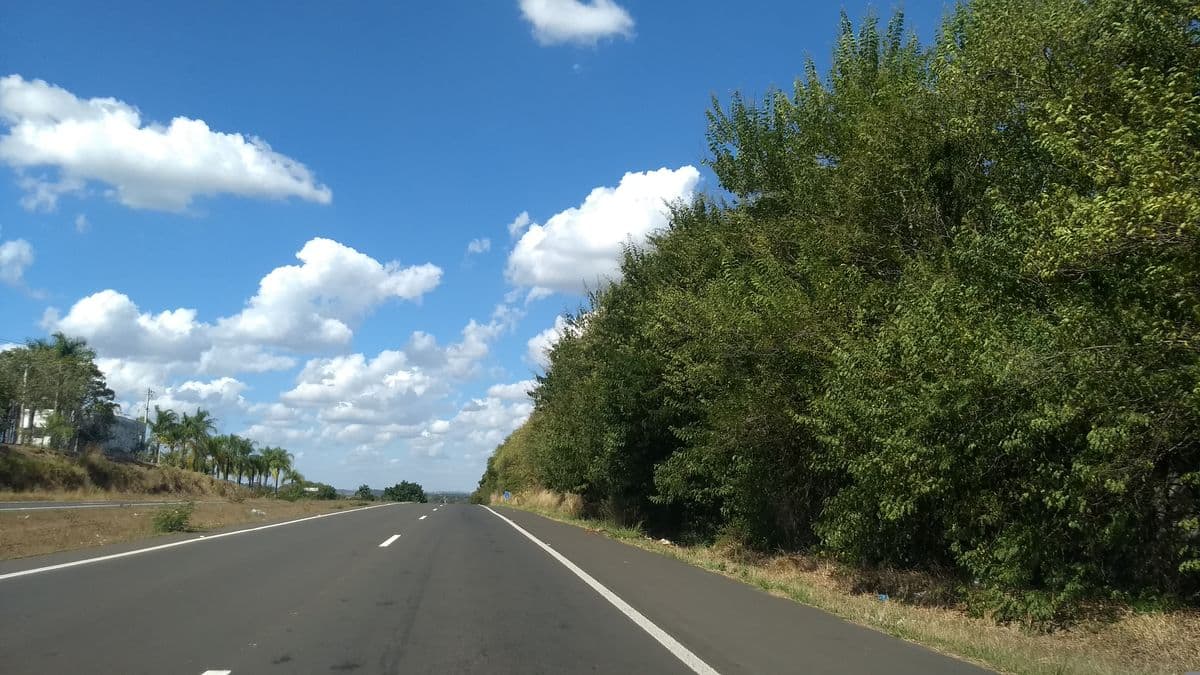Canva prezentacija 20 slajdova