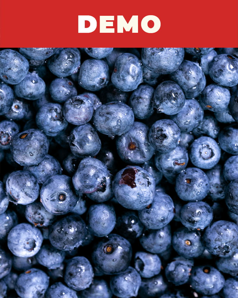 Sveže ili zamrznute borovnice bogate vitaminima i ukusom